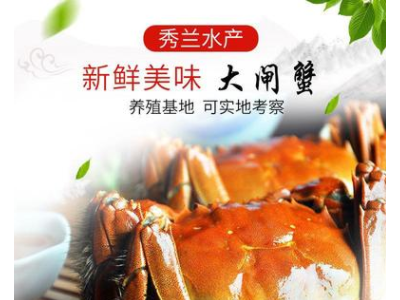 兴化水产养殖基地自产自销六月黄鲜活大闸蟹新鲜螃蟹2.4-2.1两母图2