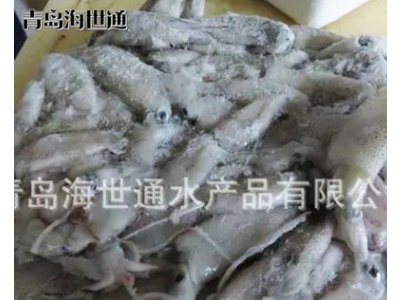 批发供应 北部湾小鱿鱼 小鱿鱼 笔管鱼 海鲜冻品批发 6/9图2