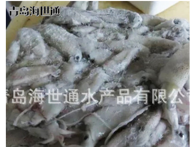 批发供应 北部湾小鱿鱼 小鱿鱼 笔管鱼 海鲜冻品批发 6/9图4