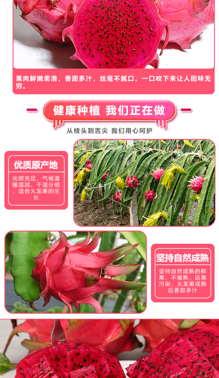 火龙果详情页（小one小店）-裁剪_04.gif