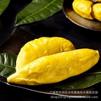马来西亚猫山王榴莲D197树上熟带壳液氮冷冻进口榴莲一件代发