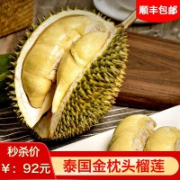 泰国榴莲进口新鲜水果金枕头榴莲新鲜批发榴莲一件代发非猫山王