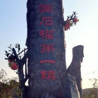 大凉山会理软籽突尼斯石榴汁多爆甜产地直发代发包邮