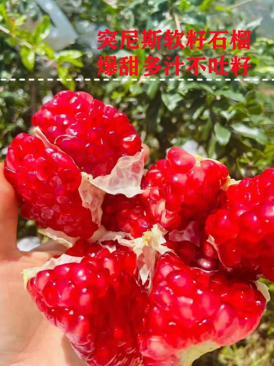 54ee53c67df636496d9c0a4715fe2e