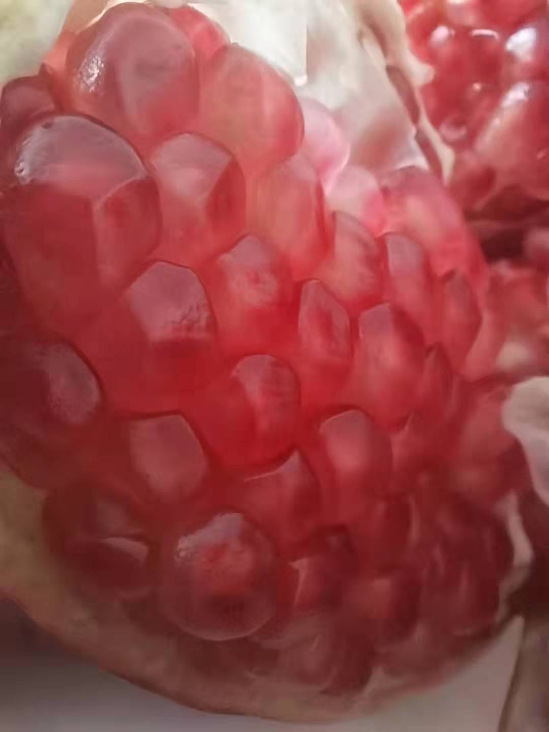 2de67918725c6523519b6241c8b122