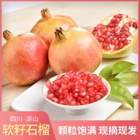 大凉山会理软籽突尼斯石榴鲜甜水果产地直发代发包邮