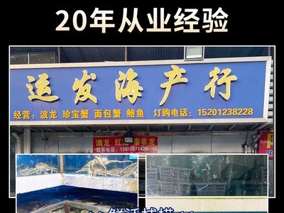 活冻白虾3.5斤/盒海捕基围虾海鲜水产火锅大虾餐馆采购白虾批发图4