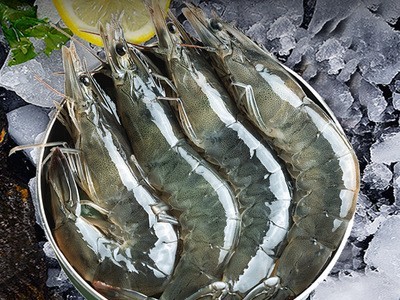 活冻白虾3.5斤/盒海捕基围虾海鲜水产火锅大虾餐馆采购白虾批发图2