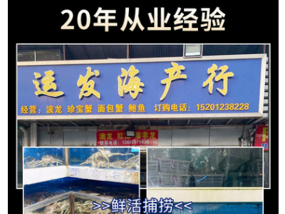 新鲜三文鱼500g日式料理刺身生鱼片寿司冰鲜包邮批发酒店供应海鲜图2