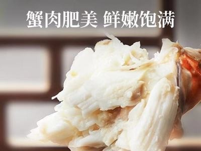 梭子蟹 野生现捕鲜活海鲜大号螃蟹母蟹海鲜水产白蟹肥美3斤包邮图4