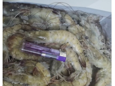 鲜虾海捕大虾冷冻海虾批发中秋礼包基围虾对虾青虾白虾海鲜水产品图4