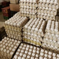 农家白壳鸡蛋天天鲜