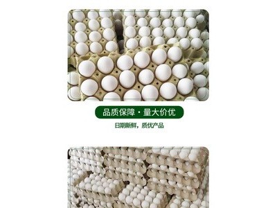 农家白壳鸡蛋天天鲜图2