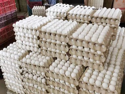 农家白壳鸡蛋天天鲜图4