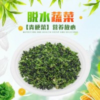 脱水万年青菜干 食品级脱水菜心 青梗菜干散装脱水蔬菜批发