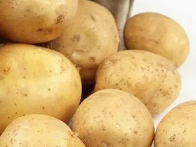 厂家直销 保鲜土豆 红皮黄心小土豆 蔬菜供应 欢迎咨询图2