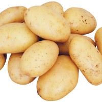 厂家直销 保鲜土豆 红皮黄心小土豆 蔬菜供应 欢迎咨询