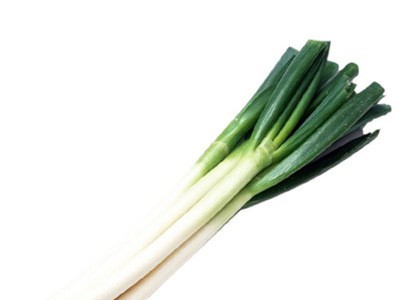 厂家供应 去皮保鲜大葱 四季香葱 铁杆白条大葱蔬菜种子 量大优惠图5
