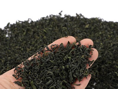 新茶春茶批发 高山云雾绿茶 香茶 浓香耐泡 新鲜茶叶 量大从优图3