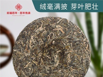 百年老树普洱茶生茶饼古树普洱茶叶云南勐海357g纯料好茶批发直销图2