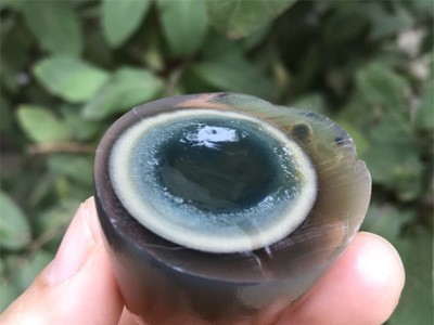 北部湾海鸭皮蛋松花蛋海鸭蛋变蛋一件代发图4