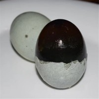 北部湾海鸭皮蛋松花蛋海鸭蛋变蛋一件代发