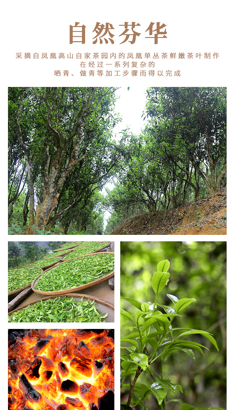详细(1)_07.jpg