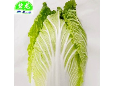 常年大量供应2021保鲜蔬菜各种包菜类圆包菜扁包菜紫甘蓝图2