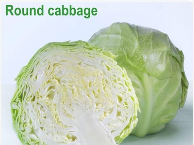 常年大量供应2021保鲜蔬菜各种包菜类圆包菜扁包菜紫甘蓝图3