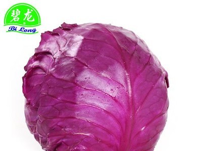 常年大量供应2021保鲜蔬菜各种包菜类圆包菜扁包菜紫甘蓝图5
