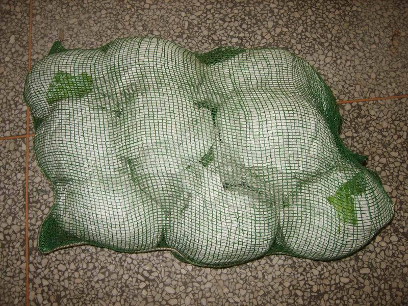 cabbage for stephen 1