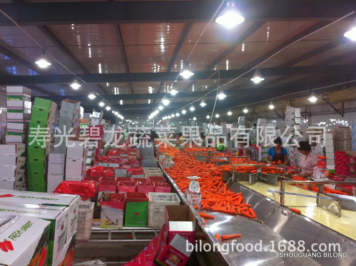 PRODUCTION LINE