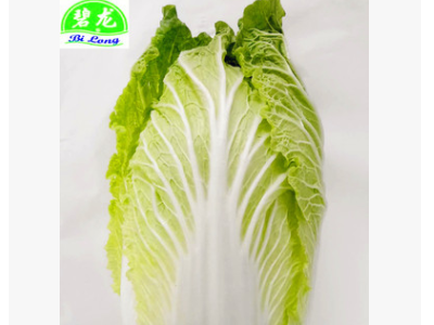 寿光加工厂常年出口保鲜胡萝卜/ 白萝卜/西兰花/扁包菜/白花菜 等图4