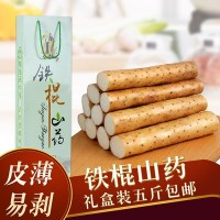 河北蠡县产地批发麻山药小白嘴山药铁棍山药铁杆淮山新鲜山药5斤