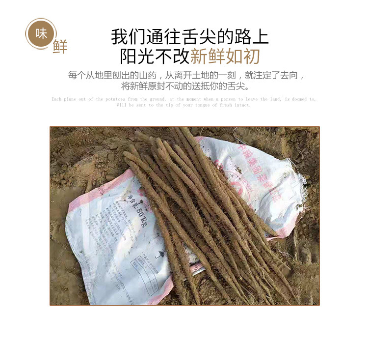 详情_06.jpg