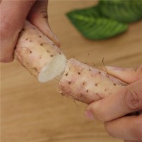 新鲜铁棍山药淮山小白嘴白山药 5斤装 口感软糯美味