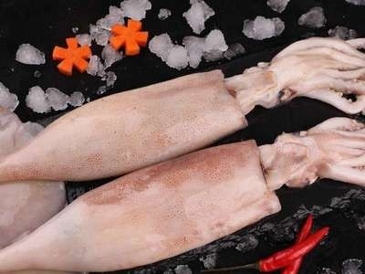 新鲜大鱿鱼海鲜水产章鱼整只八爪鱼冷冻鲜活大乌贼全籽小火锅食材图3