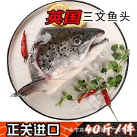 海鲜 冰冻 英国三文鱼头 40斤/一件 烧烤酒店食材