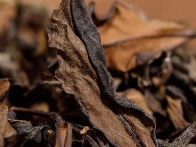 金叶福鼎白茶2013年磻溪贡眉白茶饼中秋茶叶礼盒老福鼎白茶饼图3