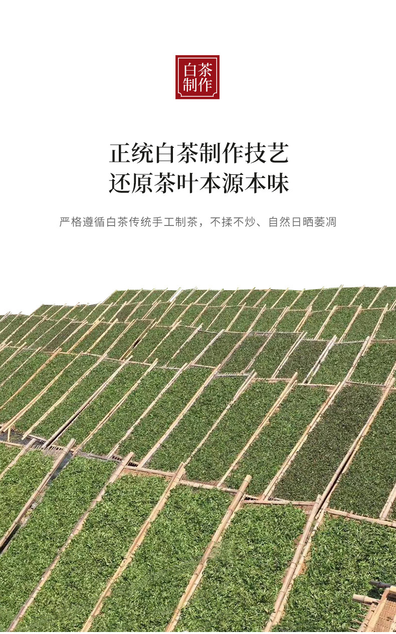 2013_高山贡眉_05.jpg