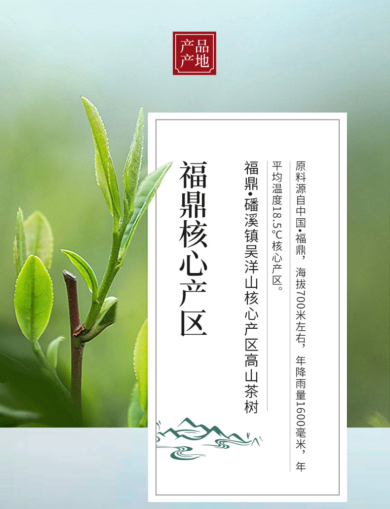 2013_高山贡眉_03.jpg