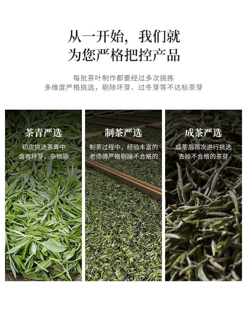 2013_高山贡眉_06.jpg