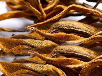 【全单芽红茶】头春凤庆师傅制作蜜香浓郁清香型大金芽滇红茶500g图2