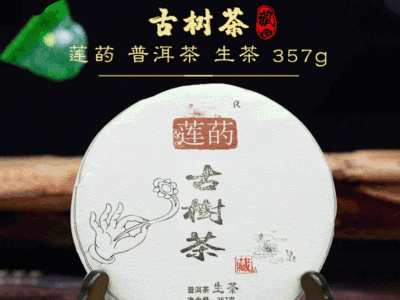 云南普洱茶生茶莲菂茶叶 357ｇ昌宁古树茶 饼茶 茶叶批发定制图3