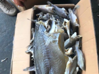 鲈鱼干跑江湖展会地摊深海鲈鱼干干鱼鱼干水产干货鲈鱼图3