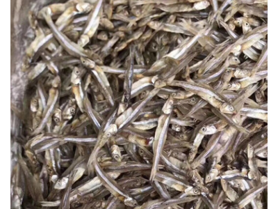 深海天然小鱼干丁香小鱼干生晒小鱼干跑江湖地摊展会小鱼干银鱼干图2