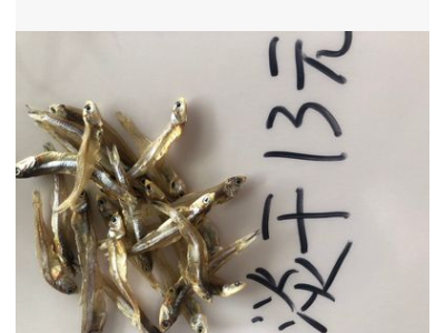深海天然小鱼干丁香小鱼干生晒小鱼干跑江湖地摊展会小鱼干银鱼干图4
