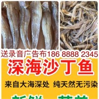 纯干纯肉沙丁鱼 跑江湖地摊深海沙丁鱼纯干沙丁鱼鱼干干鱼海产品