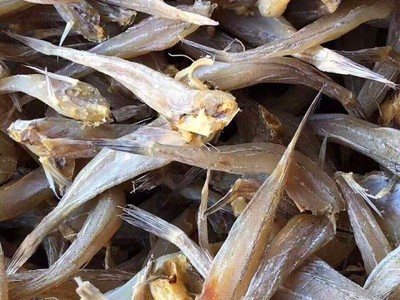 纯干纯肉沙丁鱼 跑江湖地摊深海沙丁鱼纯干沙丁鱼鱼干干鱼海产品图5