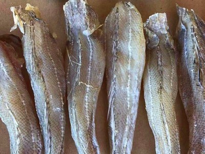 纯干纯肉沙丁鱼 跑江湖地摊深海沙丁鱼纯干沙丁鱼鱼干干鱼海产品图2